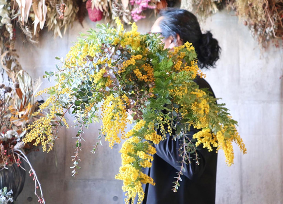 そのままドライになるミモザ小　mimosa　ユーカリ　花束　ふわふわ　香り　 3枚目の画像