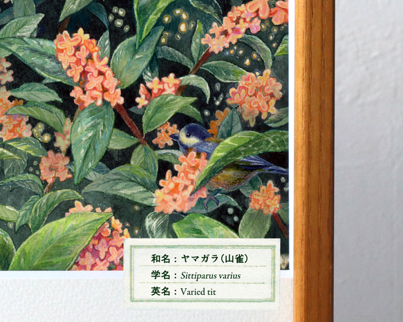 複製原画《つもる話をしよう》｜金木犀の香りに包まれるキンクマハムスターのおもちとハリネズミのすももちゃん 9枚目の画像