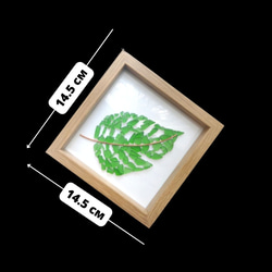 緑の葉っぱ　シーグラス　ガラスアート　環境に優しい　リサイクルグラス　インテリア雑貨　棚の飾り　玄関　置物　送料無料 2枚目の画像