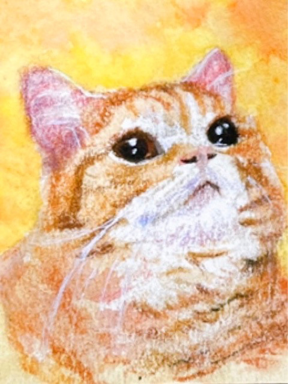 ペット似顔絵オーダー　ミニ額 2枚目の画像