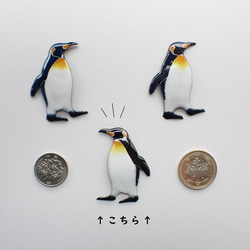 ✦ブローチなど金具選択可✦　王様ペンギン　(黒Ver.) 8枚目の画像