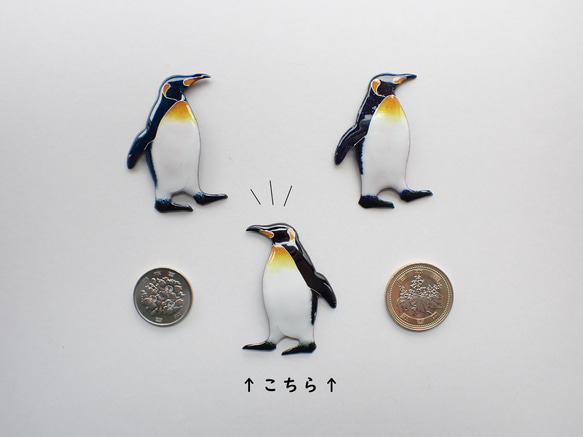 ✦ブローチなど金具選択可✦　王様ペンギン　(黒Ver.) 8枚目の画像