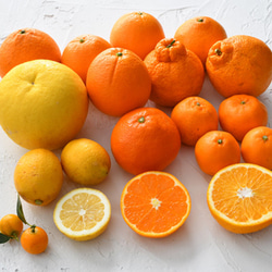 特別栽培・低農薬「柑橘詰合わせ」10kg 2枚目の画像