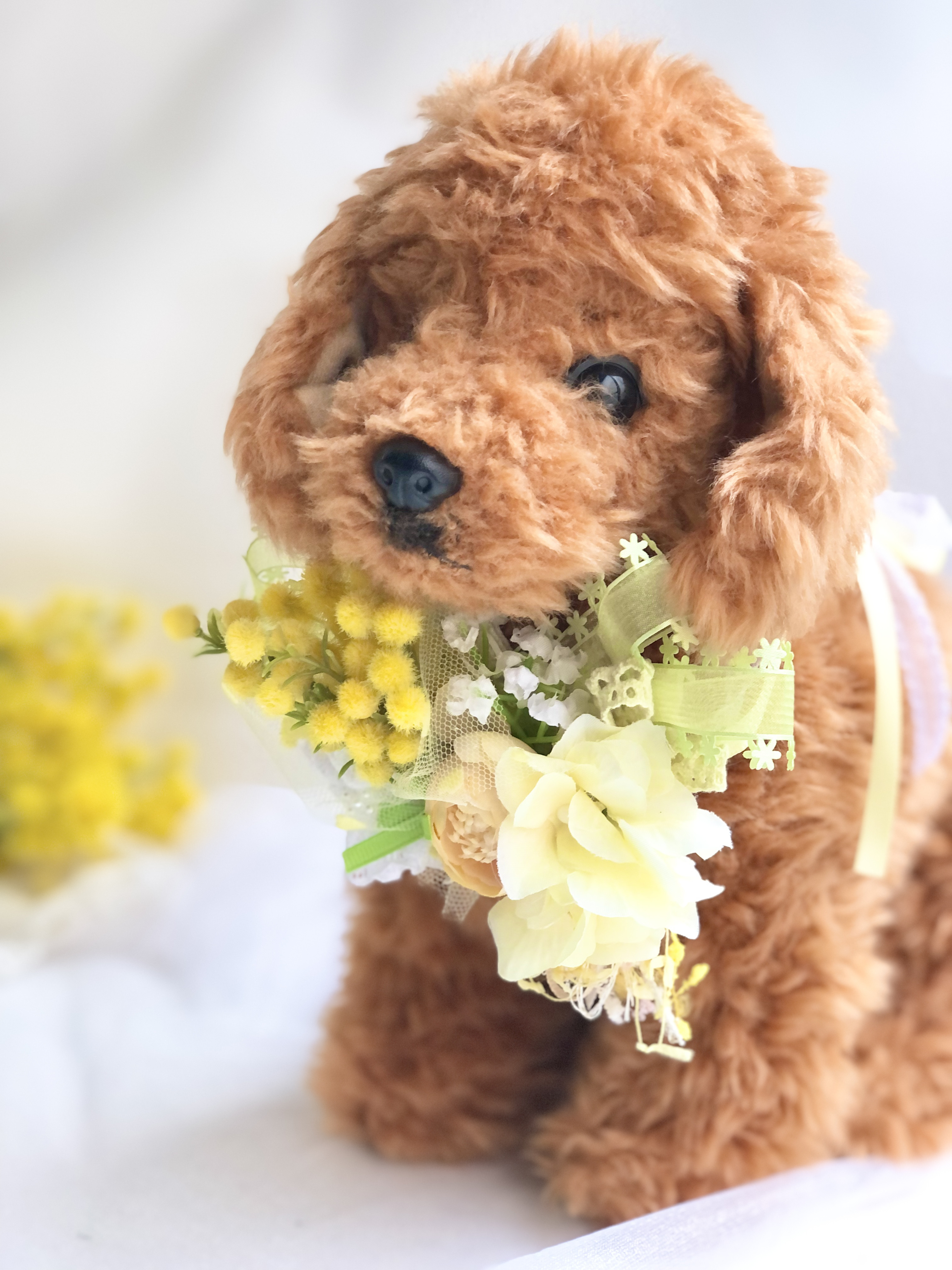 楽天市場】犬 トリミング ゴムの通販 No.350 トリミングチョーカー 39個