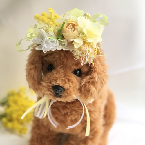 犬お花チョーカー≪ミモザのチョーカー≫ 写真撮影 トリミング