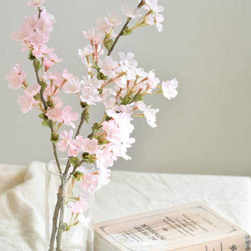 淡いピンクの桜2種 咲き続ける桜 マジカルウォーター 癒しのフラワー