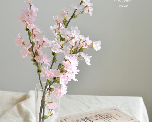 f27ef52b998a95797bef66a539489c