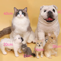 【オーダーメイドペット】羊毛フェルト、うちの子　猫ぬいぐるみ、フェルト猫、羊毛猫、肖像画、犬猫人形 プレゼントやギフトに 6枚目の画像