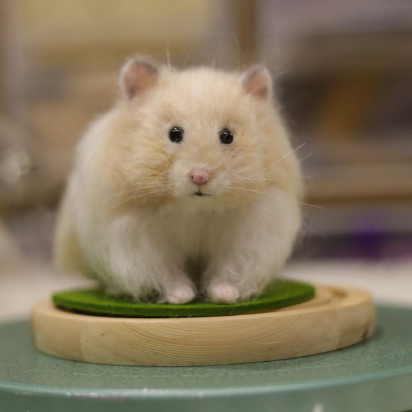 【受注製作】羊毛フェルト、うちの子、猫ぬいぐるみ、フェルト猫、ペットの肖像画、犬猫人形、ペットロス、うちのこ記念日 11枚目の画像