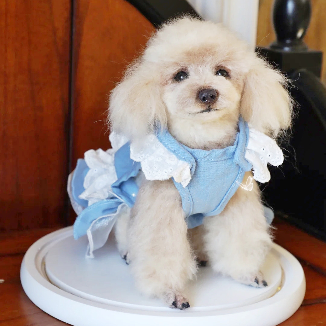 【オーダーメイド ペット】フェルト 犬 亡くなったペット ぬいぐるみ 博美犬 うちの子、ペット似顔絵、犬 猫 人形