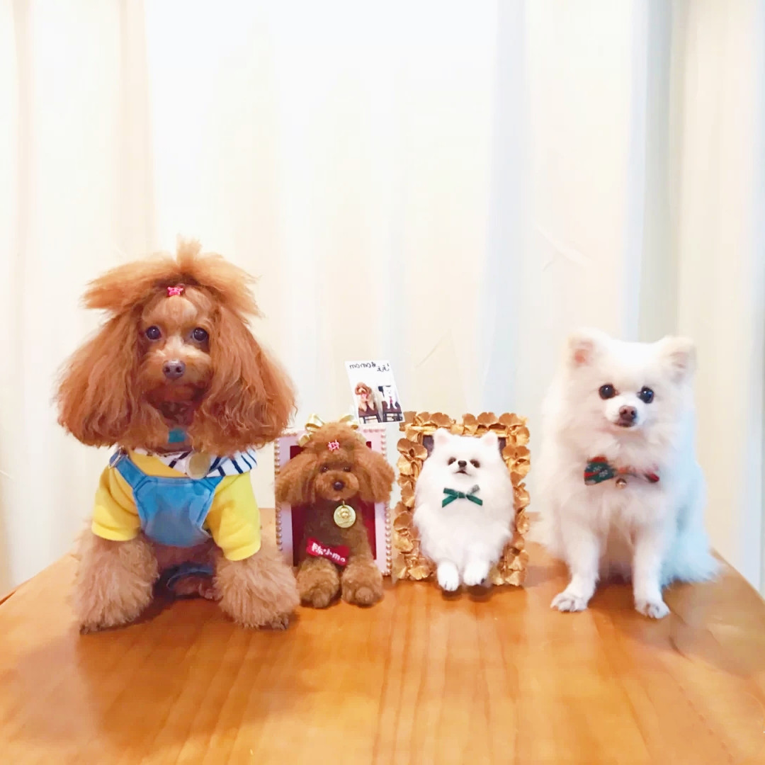 【オーダーメイド ペット】愛犬 人形 ぬいぐるみ 犬 うちの子、ペット似顔絵、犬 猫 人形