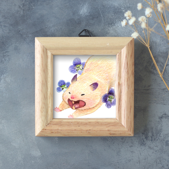 複製豆絵《あくびおもち》｜キンクマハムスターのおもち イラスト