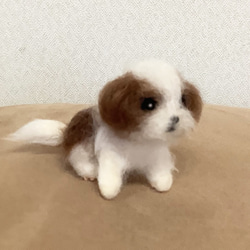 小さなシーズーの子犬＊羊毛フェルト＊犬＊子犬＊シーズー 2枚目の画像