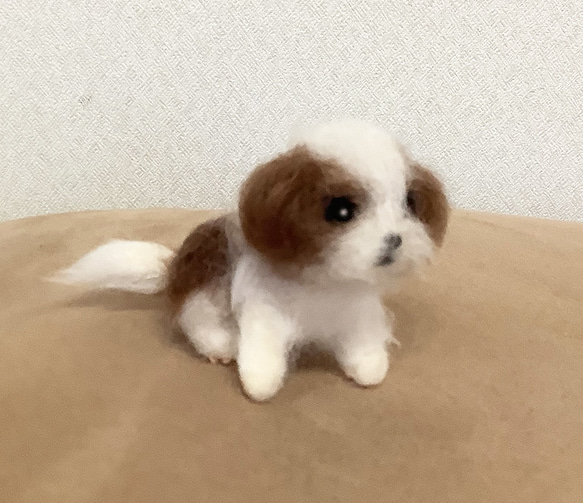 小さなシーズーの子犬＊羊毛フェルト＊犬＊子犬＊シーズー 2枚目の画像