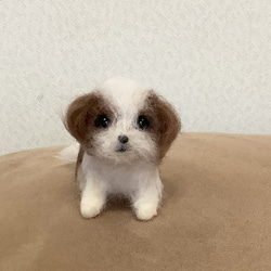 小さなシーズーの子犬＊羊毛フェルト＊犬＊子犬＊シーズー