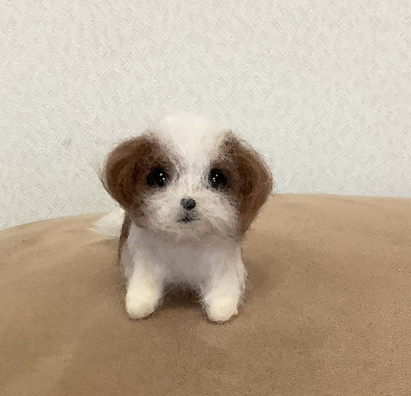 小さなシーズーの子犬＊羊毛フェルト＊犬＊子犬＊シーズー 1枚目の画像