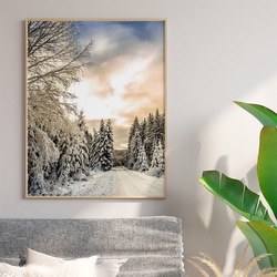 現代自然森林冬季風景/室內海報外國藝術 2 件套 / 4643 第4張的照片