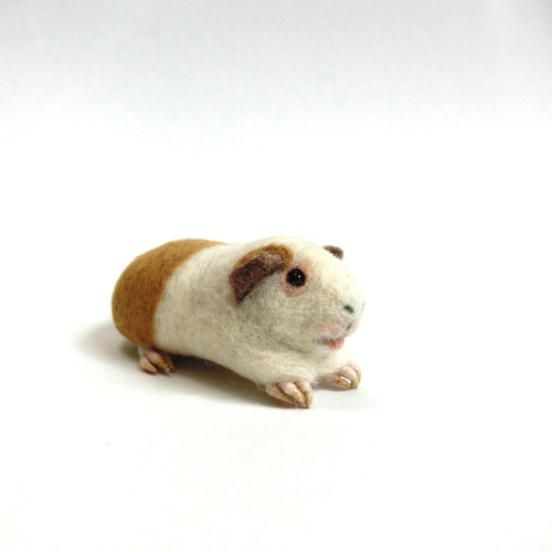 羊毛フェルト モルモット 羊毛フェルト りすすのす 通販 15350577