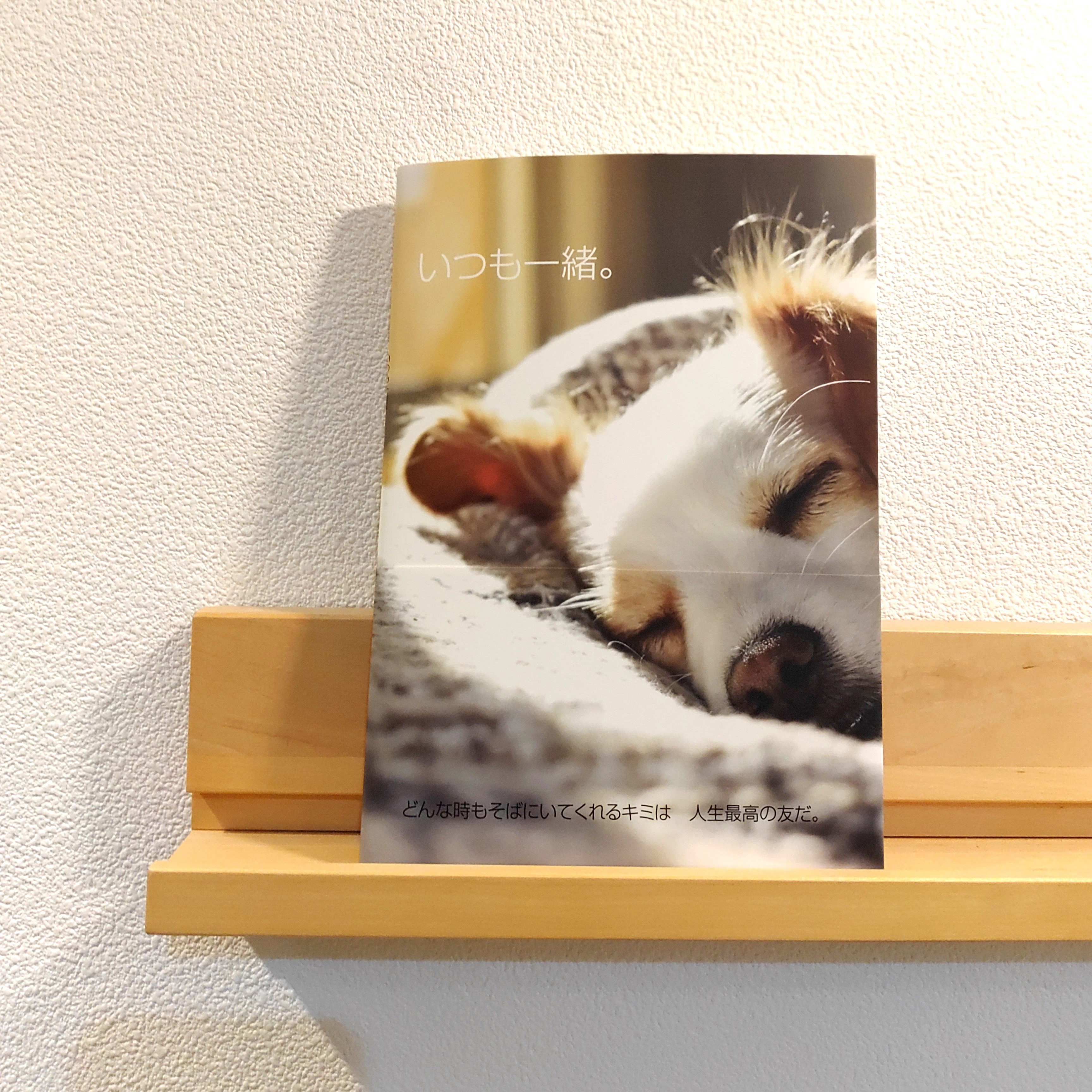 【ペット・ベビー・キッズ・家族】フォトブック～思い出の写真集アルバム36ページ～ウェディングプランナー編集 6,864円