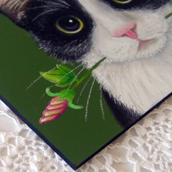 「歯をみがくよ」のシロクロくん・ハチワレ・福猫・タキシードキャット・ソックス・甘えん坊・パステル画・一点物・フレーム付き 3枚目の画像