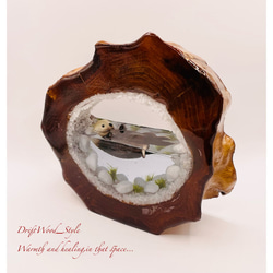 一つ限りの流木アート 海に浮かぶラッコ ジオラマ 流木 フィギュア 置物 インテリア レジン テラリウム 生き物 N5 7枚目の画像