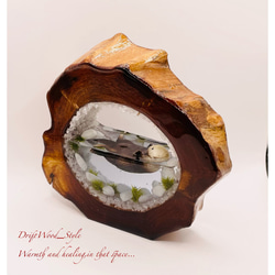 一つ限りの流木アート 海に浮かぶラッコ ジオラマ 流木 フィギュア 置物 インテリア レジン テラリウム 生き物 N5 4枚目の画像