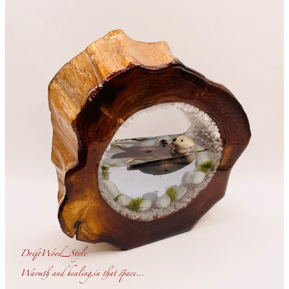 一つ限りの流木アート 海に浮かぶラッコ ジオラマ 流木 フィギュア 置物 インテリア レジン テラリウム 生き物 N5 3枚目の画像