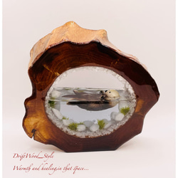 一つ限りの流木アート 海に浮かぶラッコ ジオラマ 流木 フィギュア 置物 インテリア レジン テラリウム 生き物 N5 2枚目の画像