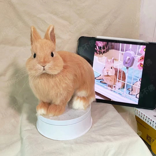 オーダーメイド】【Sサイズ】羊毛フェルト うさぎ ペット うちの