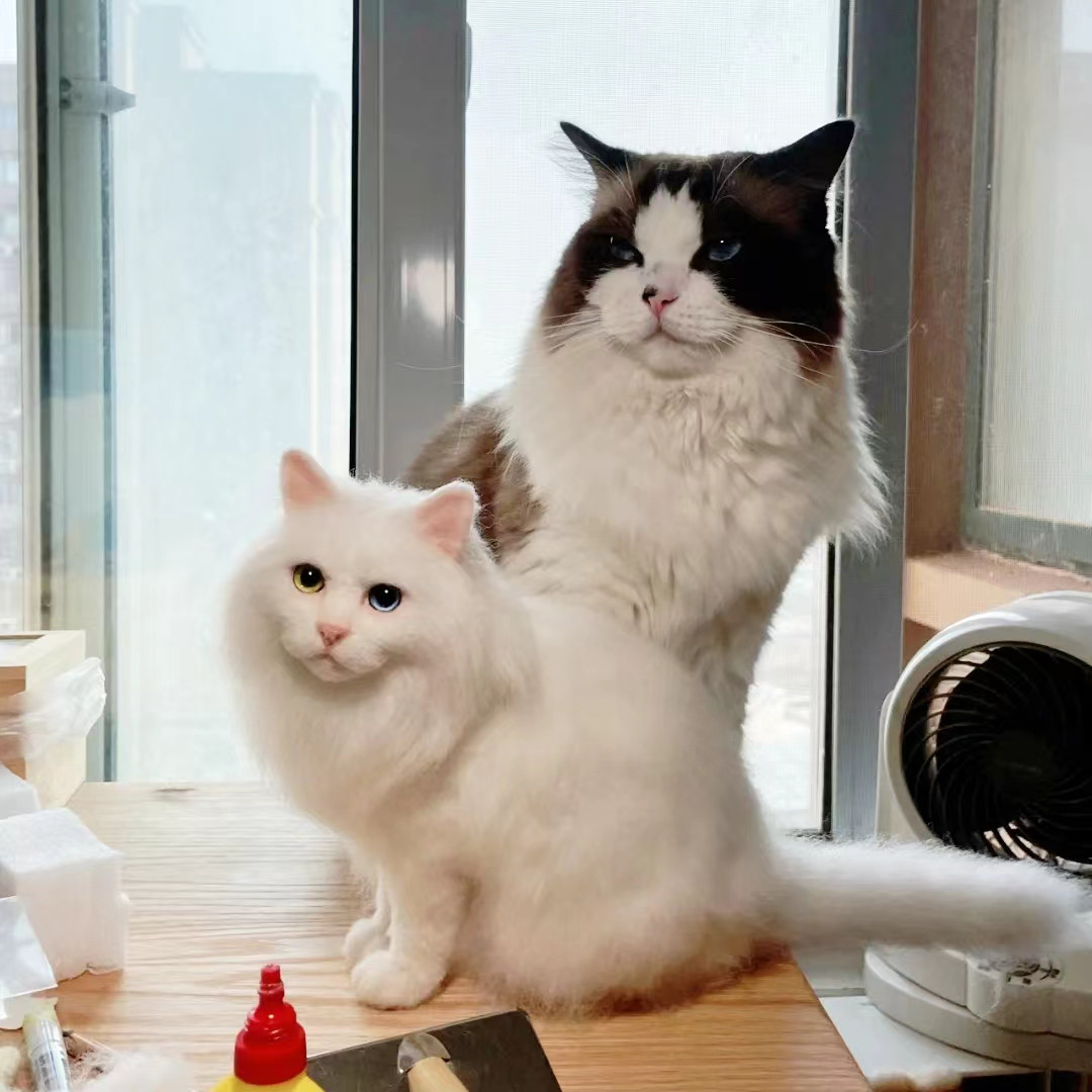 【オーダーメイド ペット】羊毛 フェルト  猫 人形 猫 リアル うちの子、ペット似顔絵、犬 猫 人形