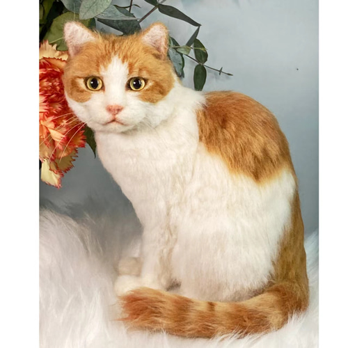 オーダーメイド ペット】人形 ぬいぐるみ 猫 亡くなっ た ペット うち