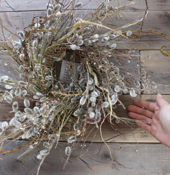 wreath [willow]　やなぎのリース　　　ドライフラワー　猫柳　雪柳 10枚目の画像