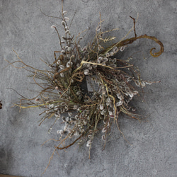 wreath [willow]　やなぎのリース　　　ドライフラワー　猫柳　雪柳 3枚目の画像