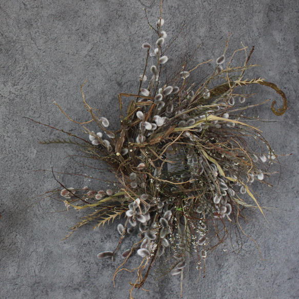 wreath [willow]　やなぎのリース　　　ドライフラワー　猫柳　雪柳 5枚目の画像