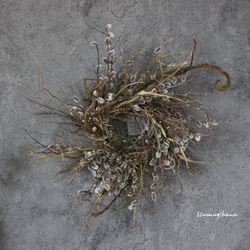 wreath [willow]　やなぎのリース　　　ドライフラワー　猫柳　雪柳 1枚目の画像