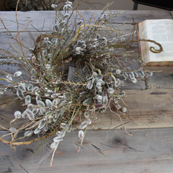 wreath [willow]　やなぎのリース　　　ドライフラワー　猫柳　雪柳 8枚目の画像