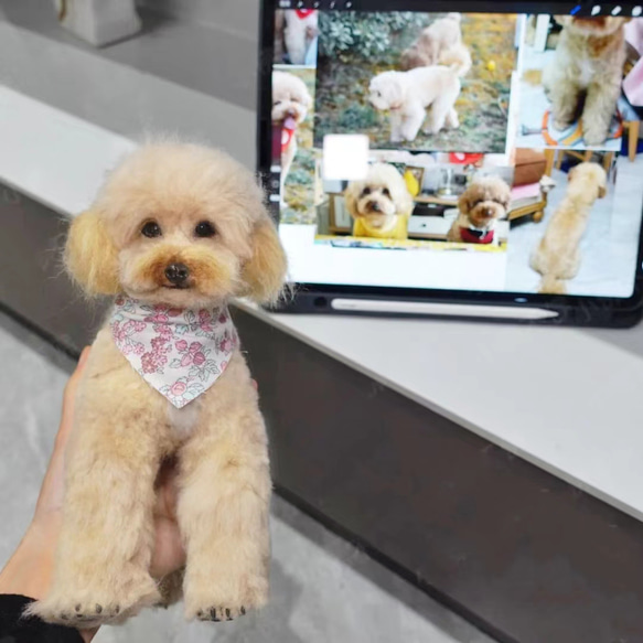 【オーダーメイドペット】羊毛フェルト、うちの子　犬ぬいぐるみ、フェルト犬、羊毛犬、肖像画、犬猫人形 プレゼントやギフトに 100% 模様