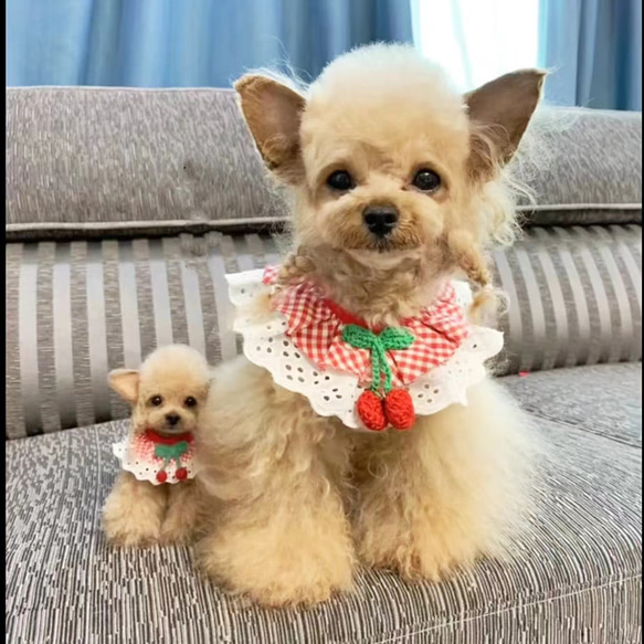 【オーダーメイドペット】羊毛フェルト、うちの子　犬ぬいぐるみ、フェルト犬、羊毛犬、肖像画、犬猫人形 プレゼントやギフトに 100% 模様