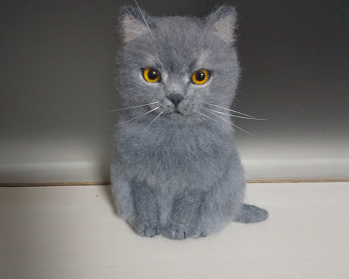 e8c6cf342961da287005c405b15b7d