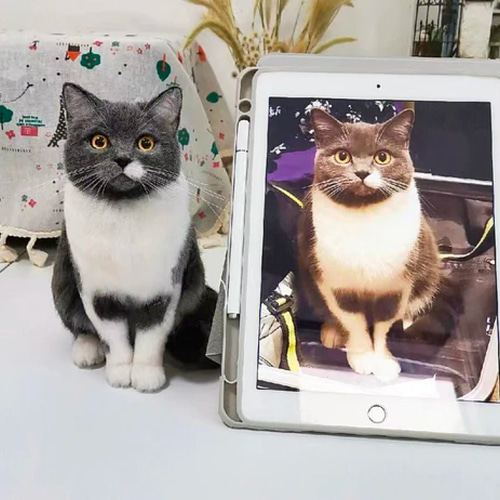 オーダーメイドペット】羊毛フェルト、うちの子 猫ぬいぐるみ オーダーメイドペット】羊毛フェルト、うちの子 猫ぬいぐるみ