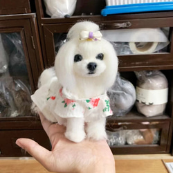 マルチーズ ぬいぐるみ のおすすめ人気通販 検索結果｜Creema(クリーマ