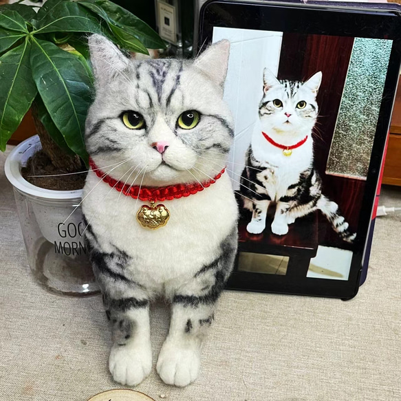 羊毛フェルト セミオーダー猫 めるる様 オーダー猫のタータン。 とっても美形な男の子。 またまた可愛い