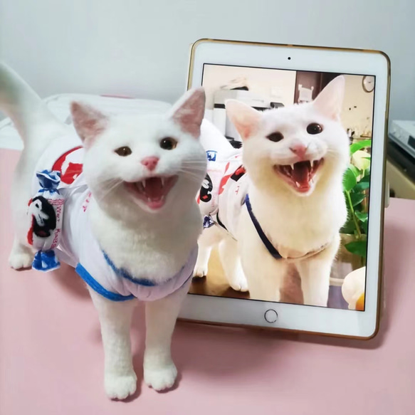 【オーダーメイドペット】羊毛フェルト、うちの子　猫ぬいぐるみ、フェルト猫、羊毛猫、肖像画、犬猫人形 プレゼントやギフトに 1枚目の画像