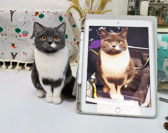 つきみ様オーダー品 羊毛フェルト 猫のぬいぐるみ オーダーメイドペット】羊毛フェルト、うちの子 猫ぬいぐるみ