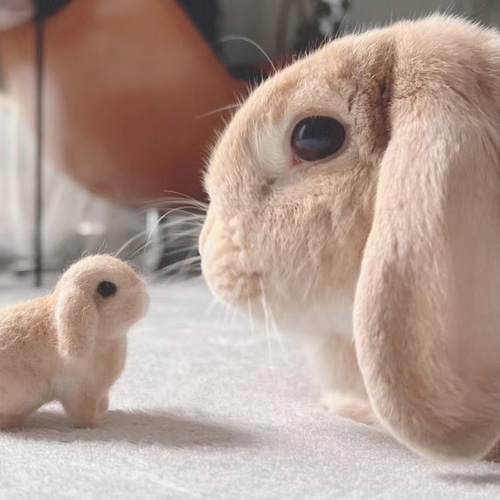 オーダーメイドペット】羊毛フェルト うさぎ ぬいぐるみ オーダー