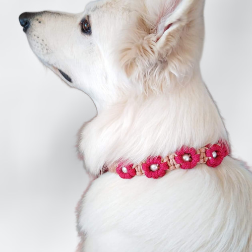 チカ 確認用 ヘッドドレス チョーカー 犬用 plusnao_pet-08165