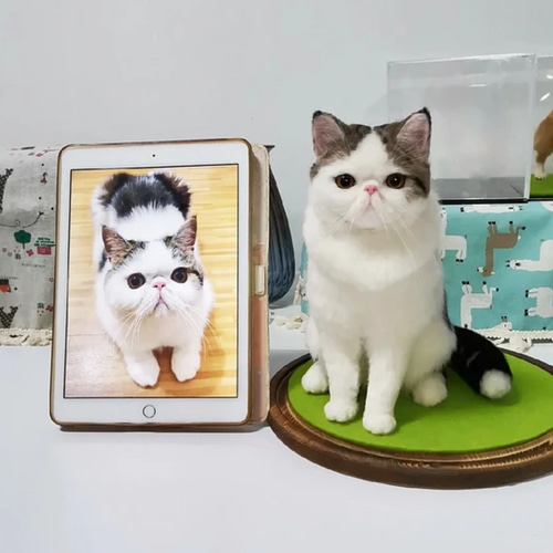 ハンドメイド 子猫 13.5cm お洋服とクマのお人形付き アート