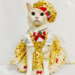 送料無料☆彡《受注製作》いちごのベレー帽〜猫の被り物 2枚目の画像