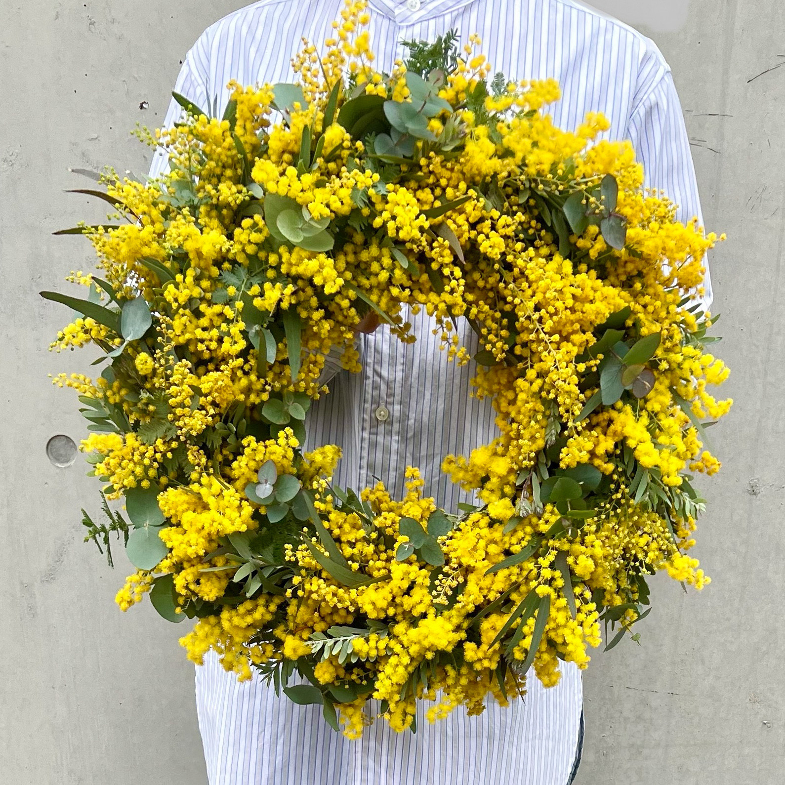 リース　ミモザ　ユーカリ　L