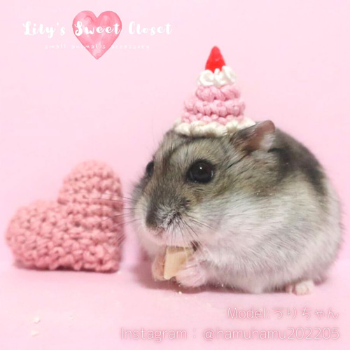 プチドームケーキハット〈ハムスター帽子 おしゃれハムスター